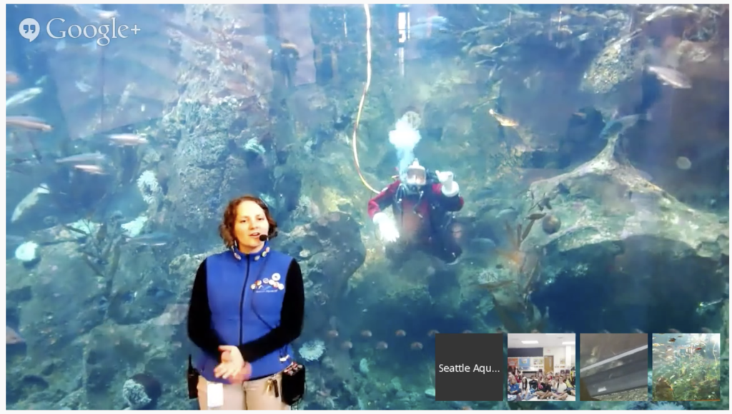 Seattle Aquarium Virtual Field Trip